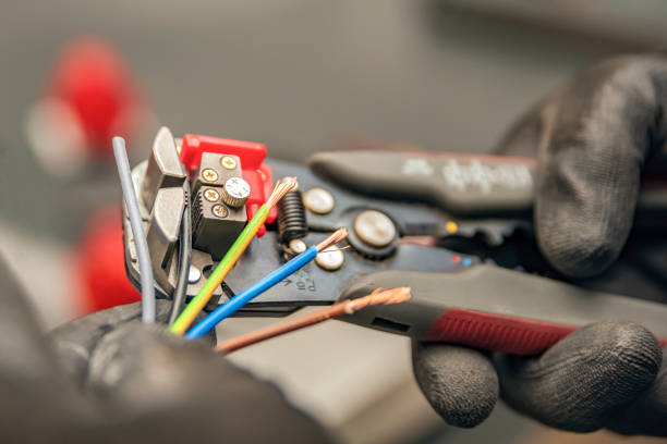 Best Affordable Electrician  in Elsa, TX
