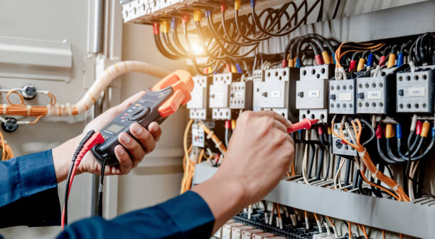Best Licensed Electrician  in Elsa, TX