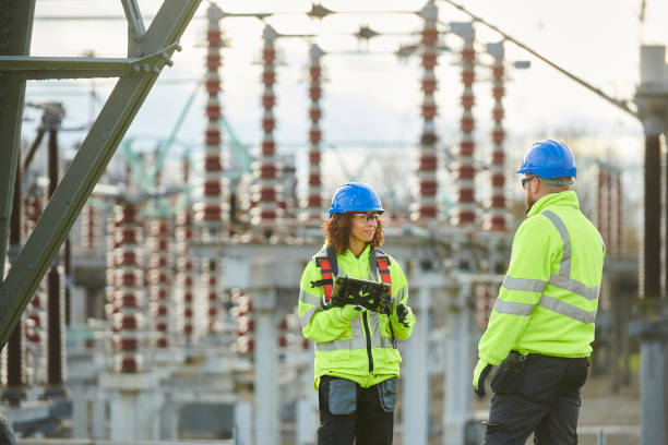 Best Electric Panel Repair  in Elsa, TX